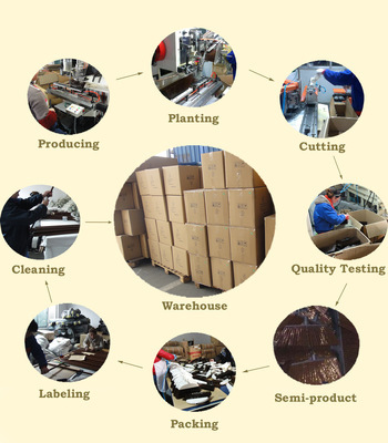 【塑料掃把 供應(yīng)掃帚頭 廠家直銷 價格優(yōu)惠 外貿(mào)原單】價格,廠家,圖片,掃帚畚箕套裝,張家港英瑞實業(yè)-