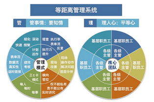 溫州企業管理咨詢 為何朗歐是您駐廠咨詢的卓越之選？